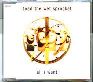 Toad The Wet Sprocket - All I Want